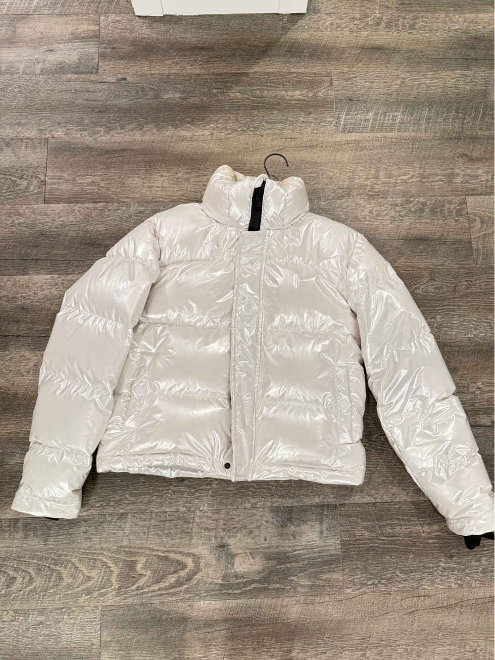 Aritzia Super Puff Shorty  - chrome white